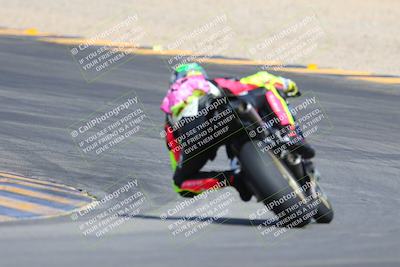 media/Mar-10-2024-SoCal Trackdays (Sun) [[6228d7c590]]/9-Turn 8 Backside (1150am)/
